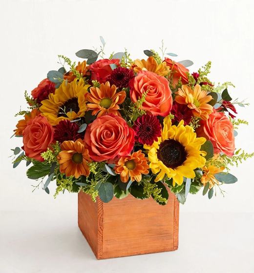 Coral roses, sunflowers, orange daisies and burgundy mums with eucalyptus in a rustic orange wooden cube