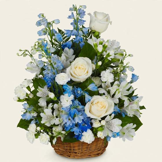 Blue Haven Sympathy Basket with blue delphinium, white roses and white alstroemeria on a cream background