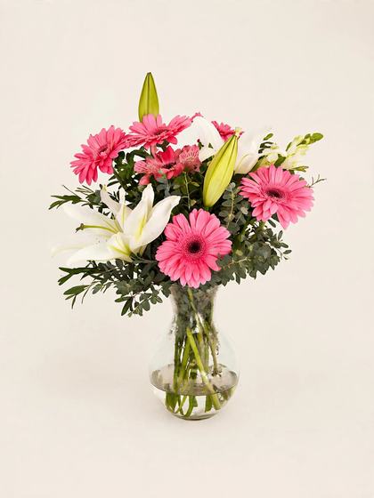 Pink gerberas, white lilies and pink alstroemeria arranged in a glass vase on a cream background