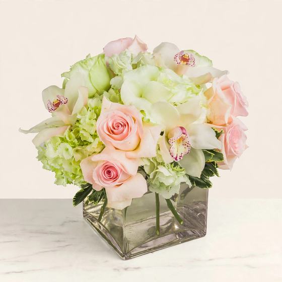 Blush Orchid Bouquet with blush roses, white orchids and green hydrangea on a cream background