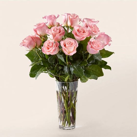 A dozen blush pink roses arranged in a tall glass vase on a cream background