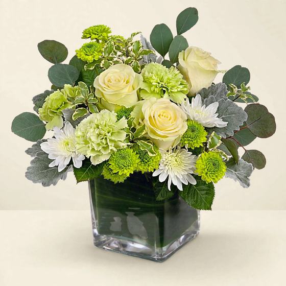 White roses, green carnations, green mums and white daisies in a glass cube