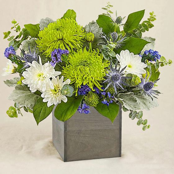 Garden Thistle Box with green spider mums, white daisies and blue thistles in a gray box on a cream background