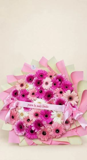 Fifty gerbera daisies in pink, magenta and white with a pink ribbon