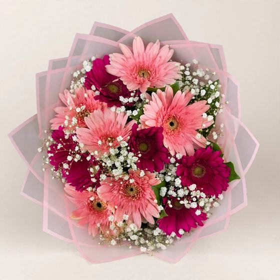 Pink and magenta gerberas with baby's breath in pink wrap