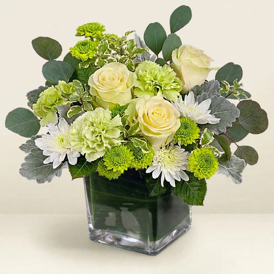 Green Serenity Bouquet with white roses, green carnations, white daisies and eucalyptus on a cream background