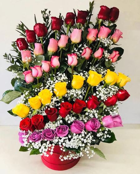 Fifty roses in red, pink, yellow and purple with baby's breath arranged in a red base on a cream background
