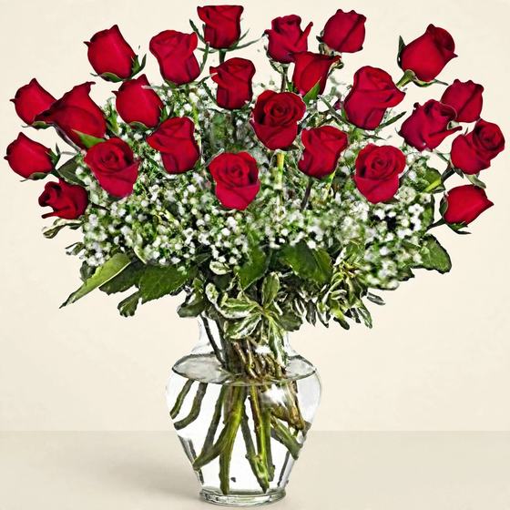 Red roses with baby's breath in a glass vase on a cream background