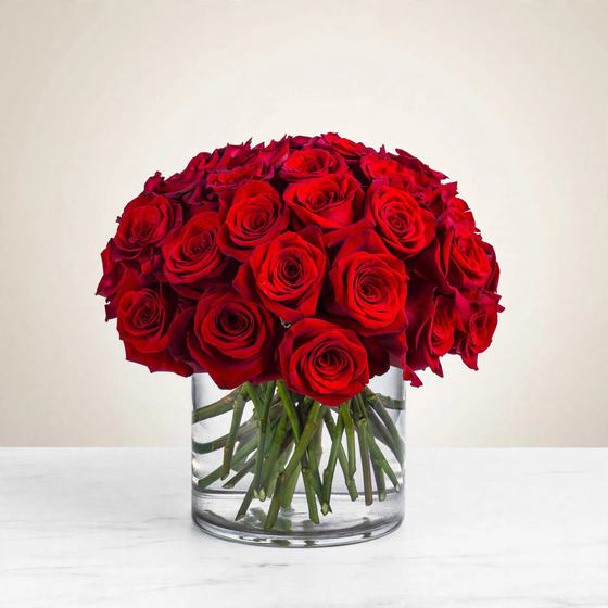 Three dozen red roses arranged as a dome in a cylindrical glass vase on a cream background