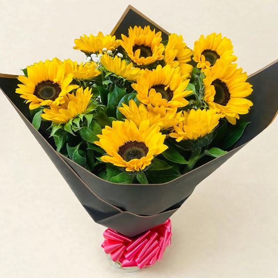 A dozen sunflowers in black wrap with a pink bow on a cream background