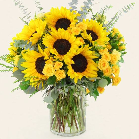 Sunflowers, yellow spray roses and eucalyptus arranged in a glass vase on a cream background