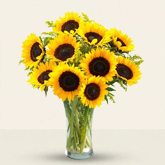 Cheerful sunflowers in a glass vase on a cream background