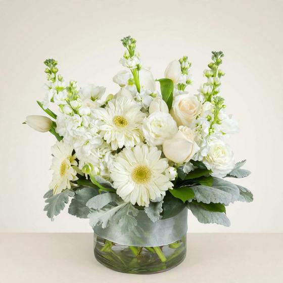White Daisy Elegance Bouquet with white daisies, white roses and white stock on a cream background