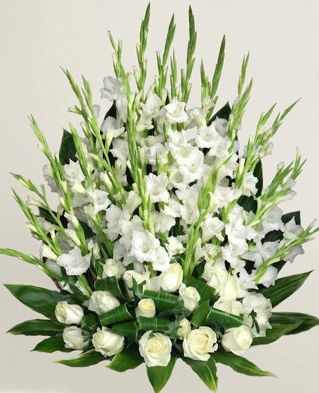 Tall White Gladiola Tribute with white gladiolas and white roses on a cream background
