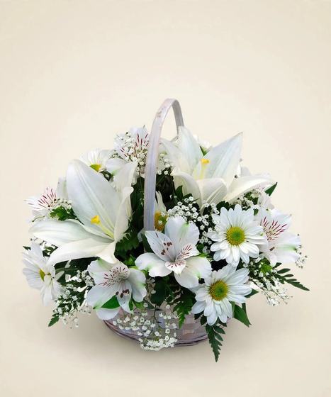 White sympathy basket with white lilies, daisies, alstroemeria and baby's breath